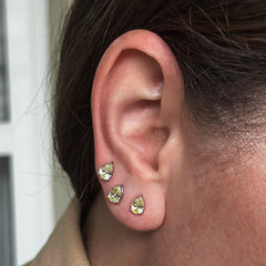 PONTO DE LUZ YELLOW FANCY